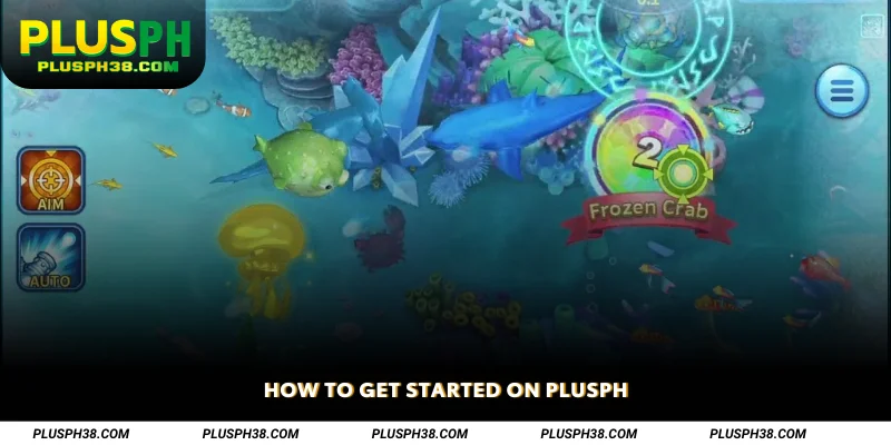 How to Get Started on PLUSPH