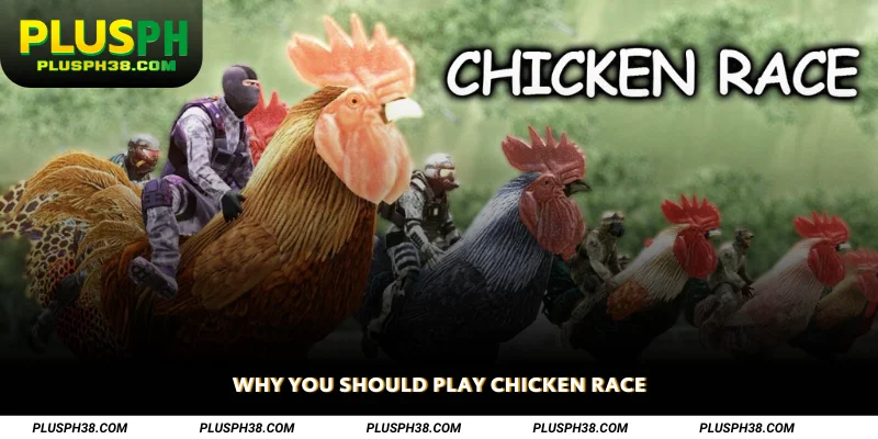 Why You Should Play Chicken Race